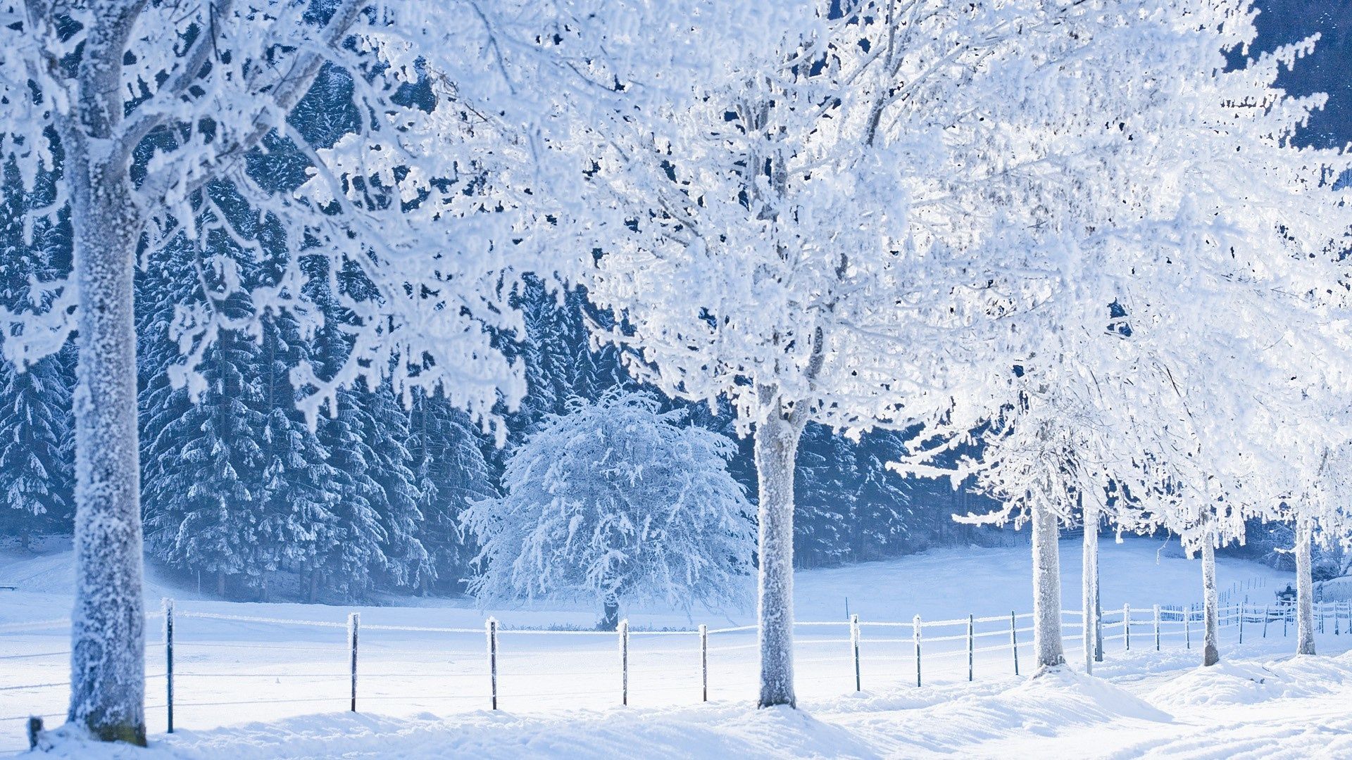 Snow Theme Wallpaper / Ac3 Snow Theme Wallpaper Opera Add Ons -