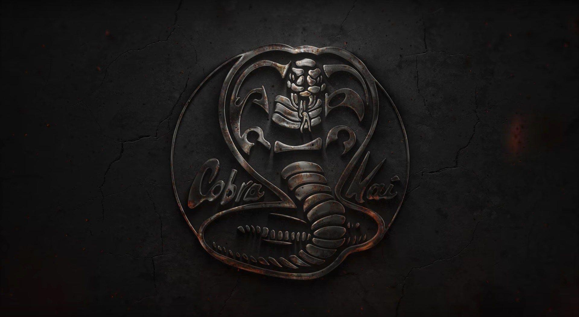 You can also upload and share your favorite cobra kai wallpapers. Hawk Cobra Kai Wallpapers Wallpaper Cave