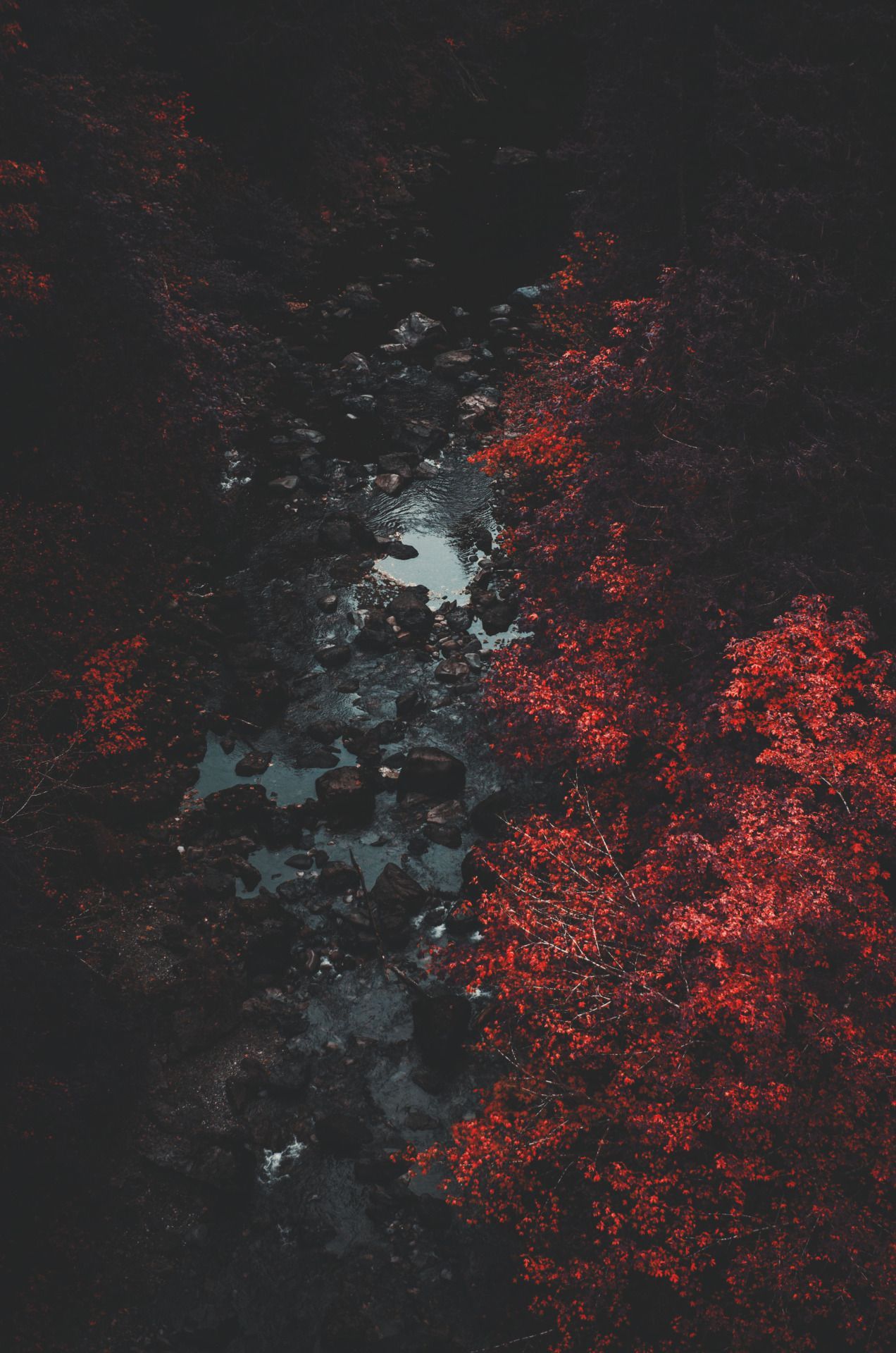 tomboy aesthetic wallpapers wallpaper cave on tomboy aesthetic wallpapers