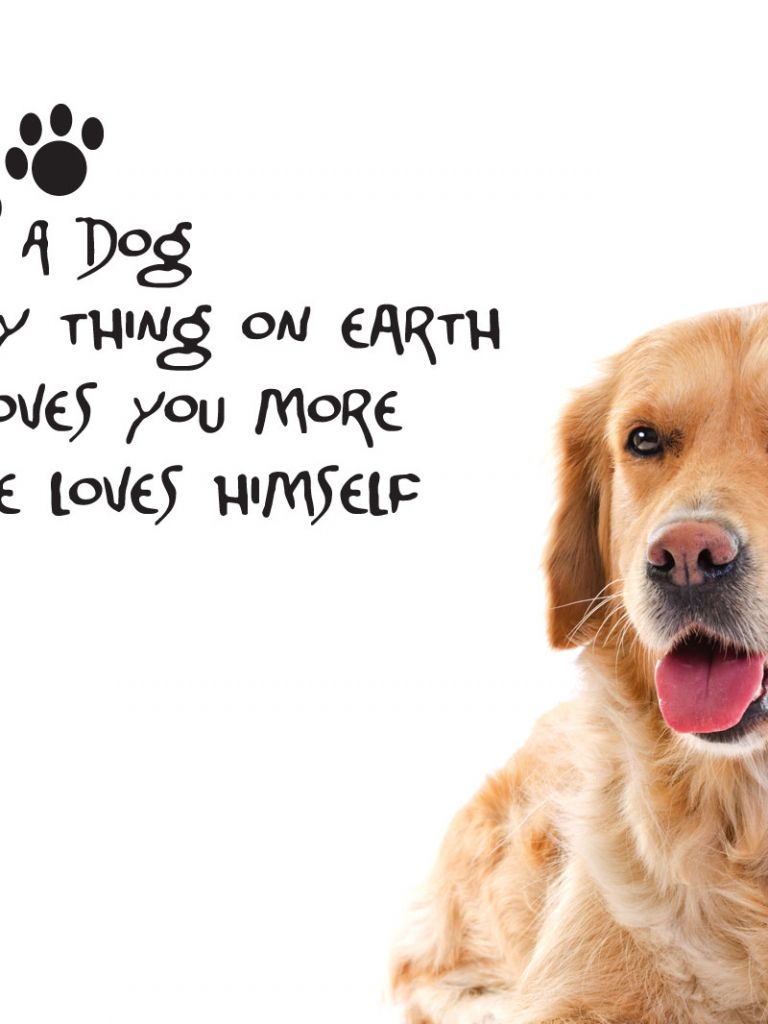 Download for free 65+ quote. Dog Quotes Wallpapers Wallpaper Cave
