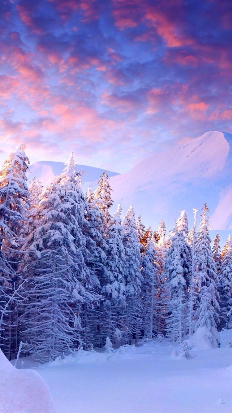 Download and use 46 winter wallpapers for free. Android Winter Wallpapers Wallpaper Cave