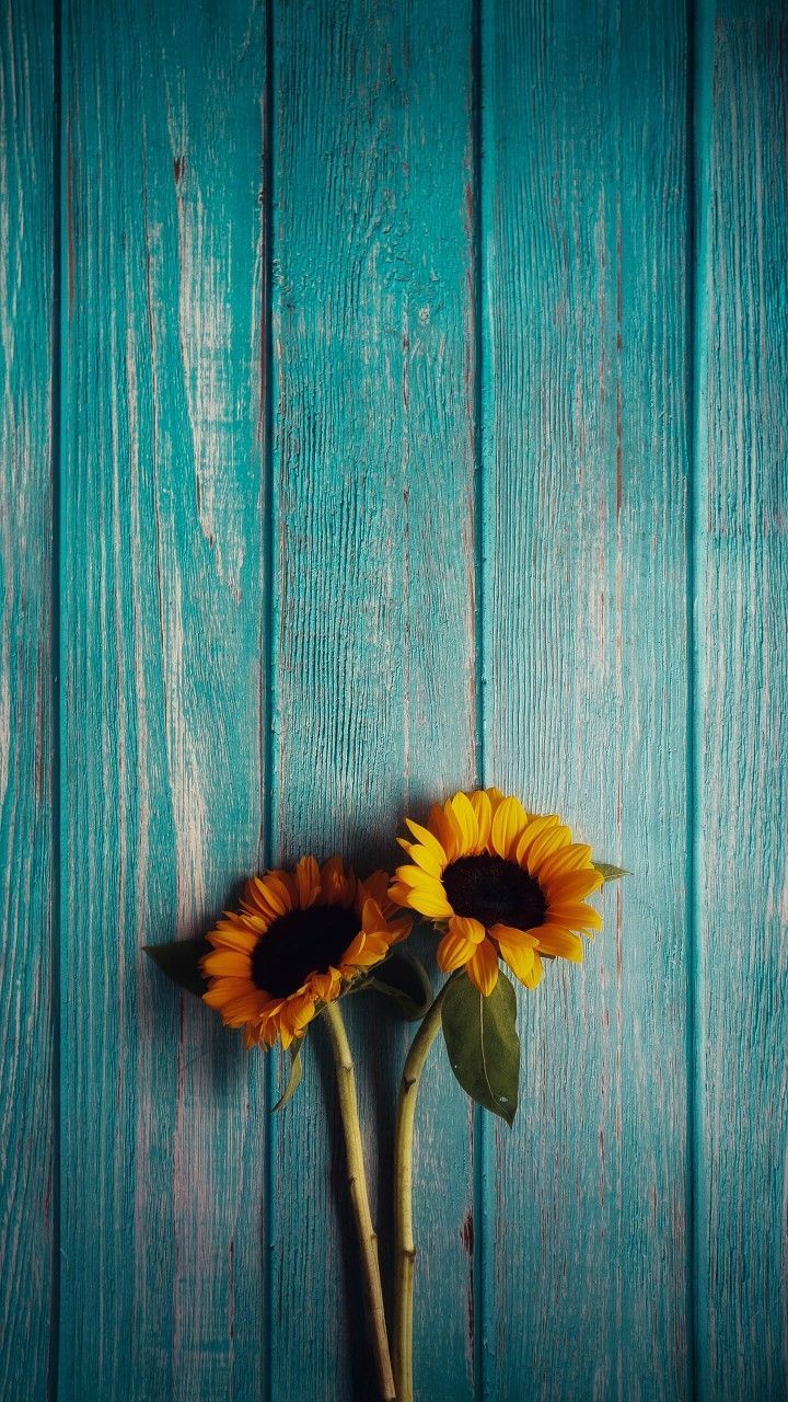 Colorful wood backdrop for photography floor069 in 2021 iphone wallpaper hipster backgrounds phone wallpapers hipster wallpaper. Rustic Flowers Phone Wallpapers Wallpaper Cave