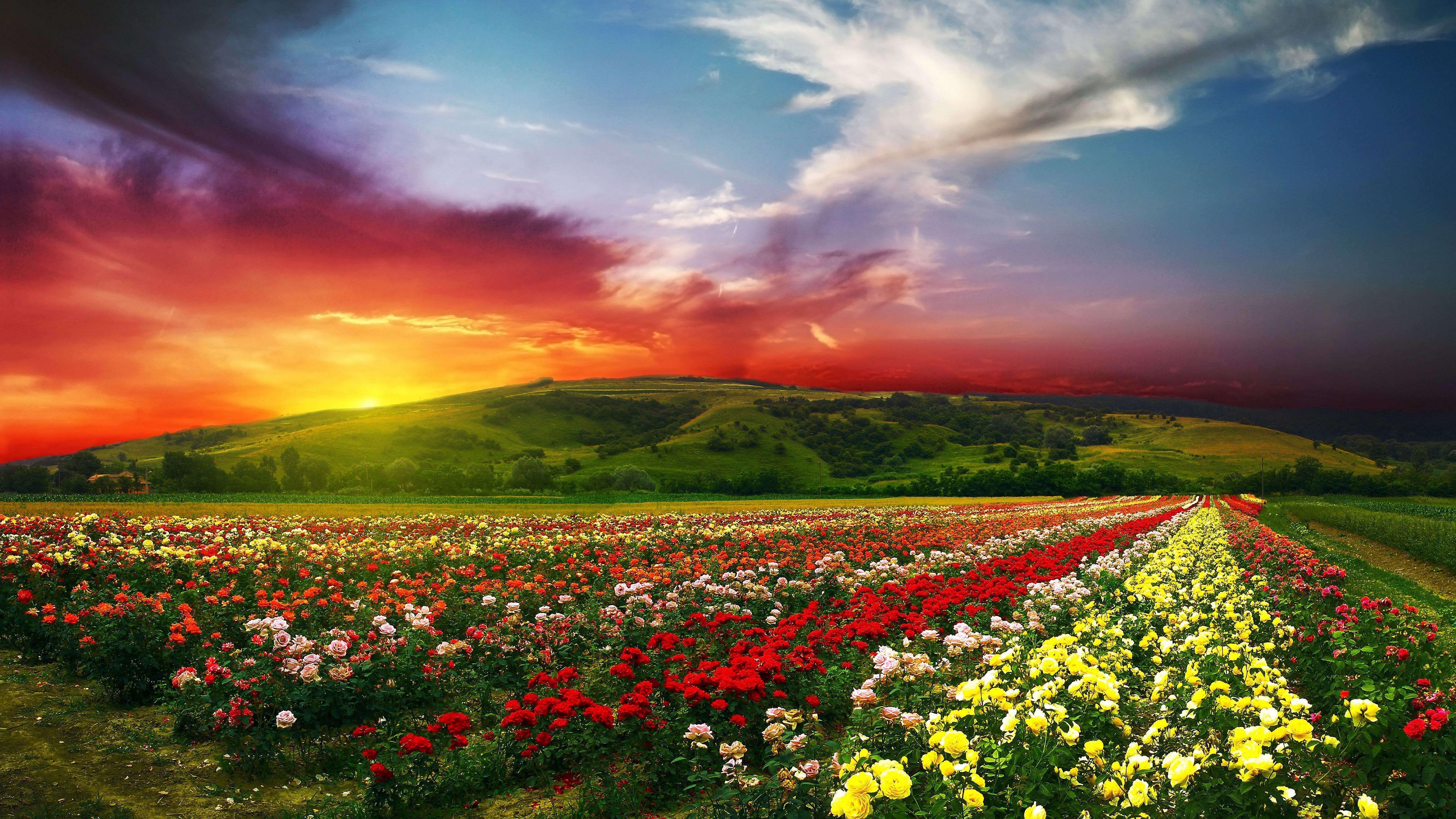 Download the perfect 8k wallpaper pictures. 8k Spring Wallpapers Wallpaper Cave