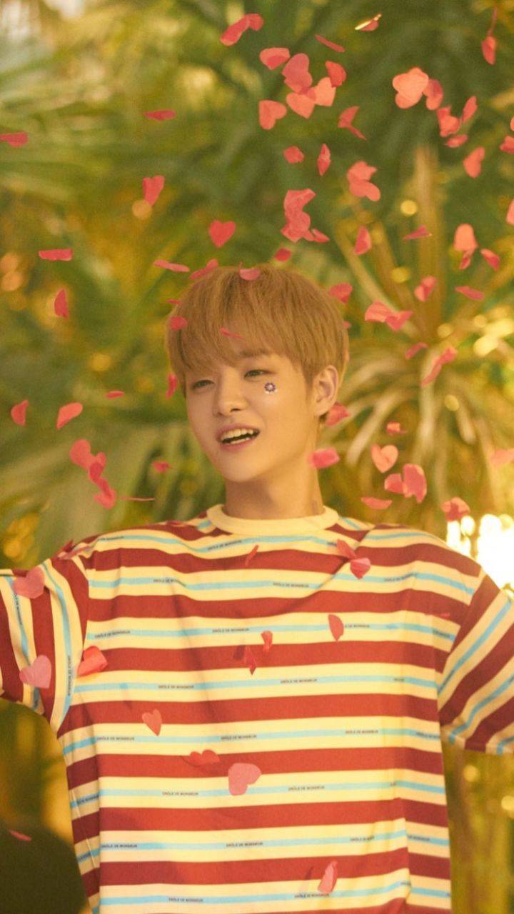 jihoon treasure wallpapers wallpaper cave on jihoon treasure wallpapers