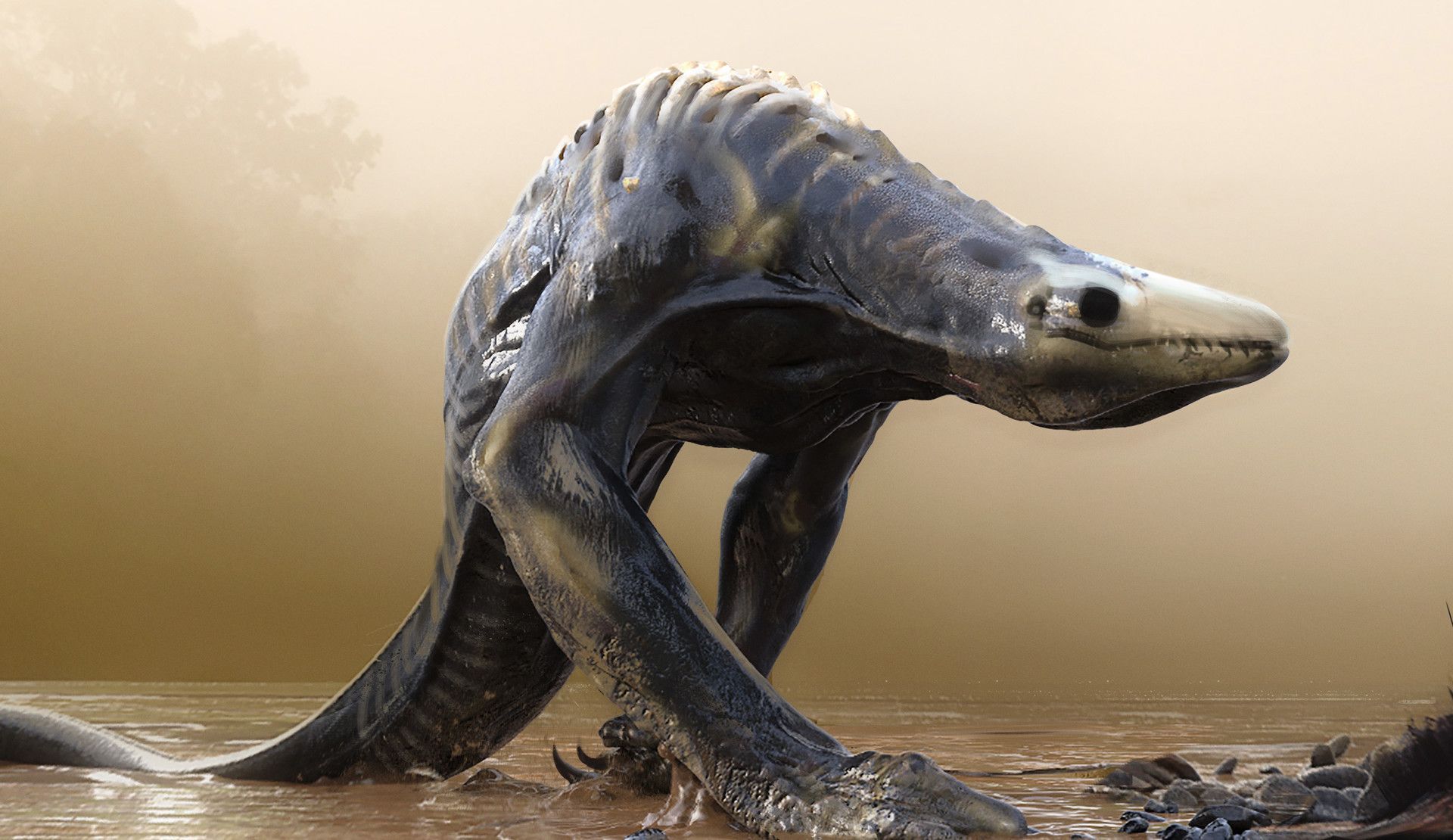 skullcrawler wallpapers wallpaper cave on skullcrawler wallpapers