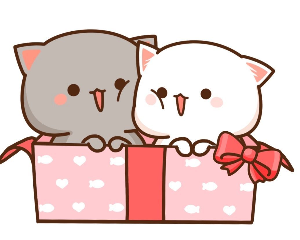 peach cat wallpapers wallpaper cave on peach cat wallpapers