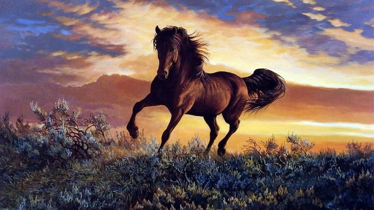 A collection of the top 53 horse painting wallpapers and backgrounds available for download for free. Horse Art Wallpapers Wallpaper Cave