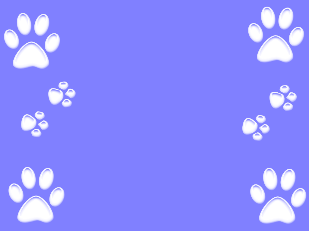 Dog paw wallpapers