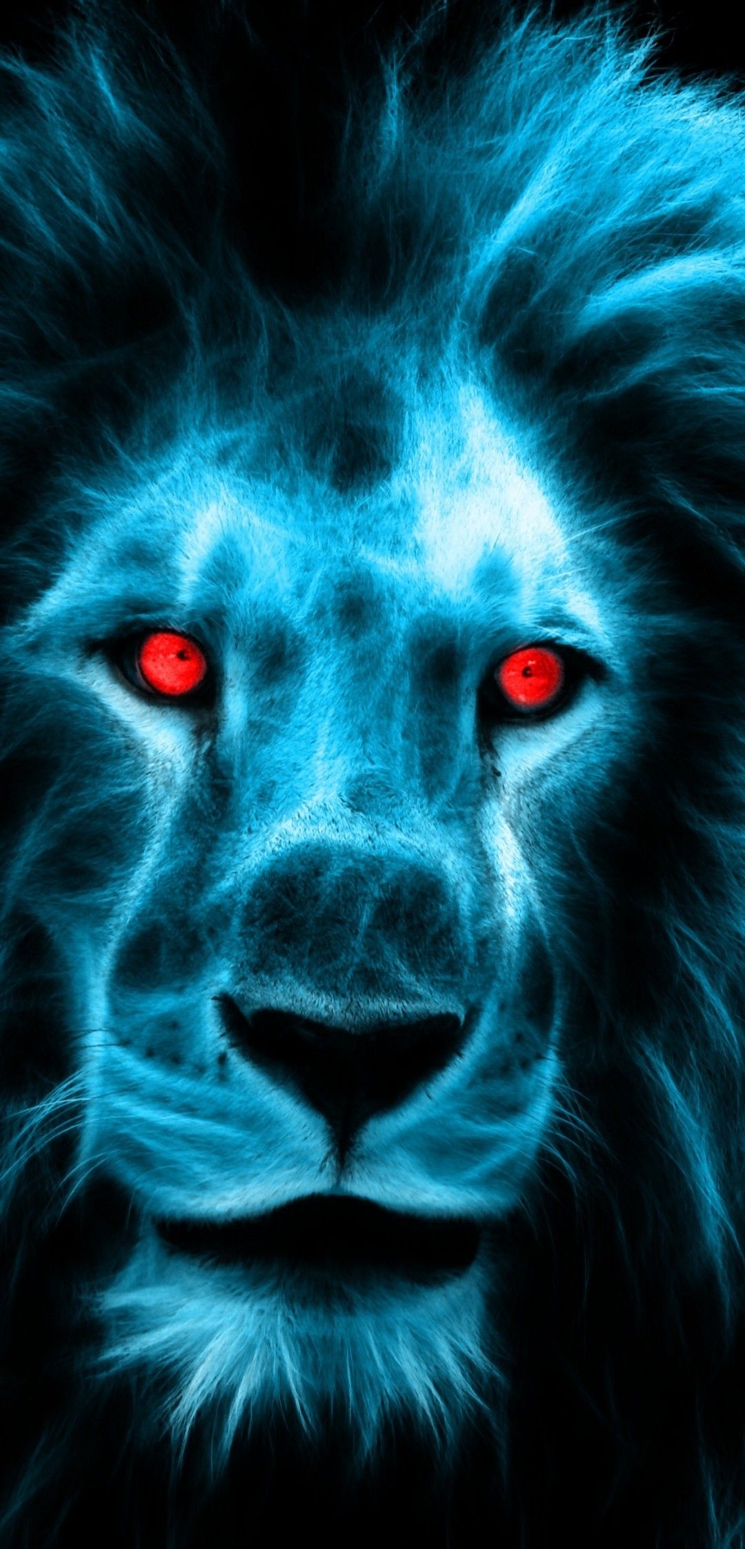 Lion eyes wallpapers