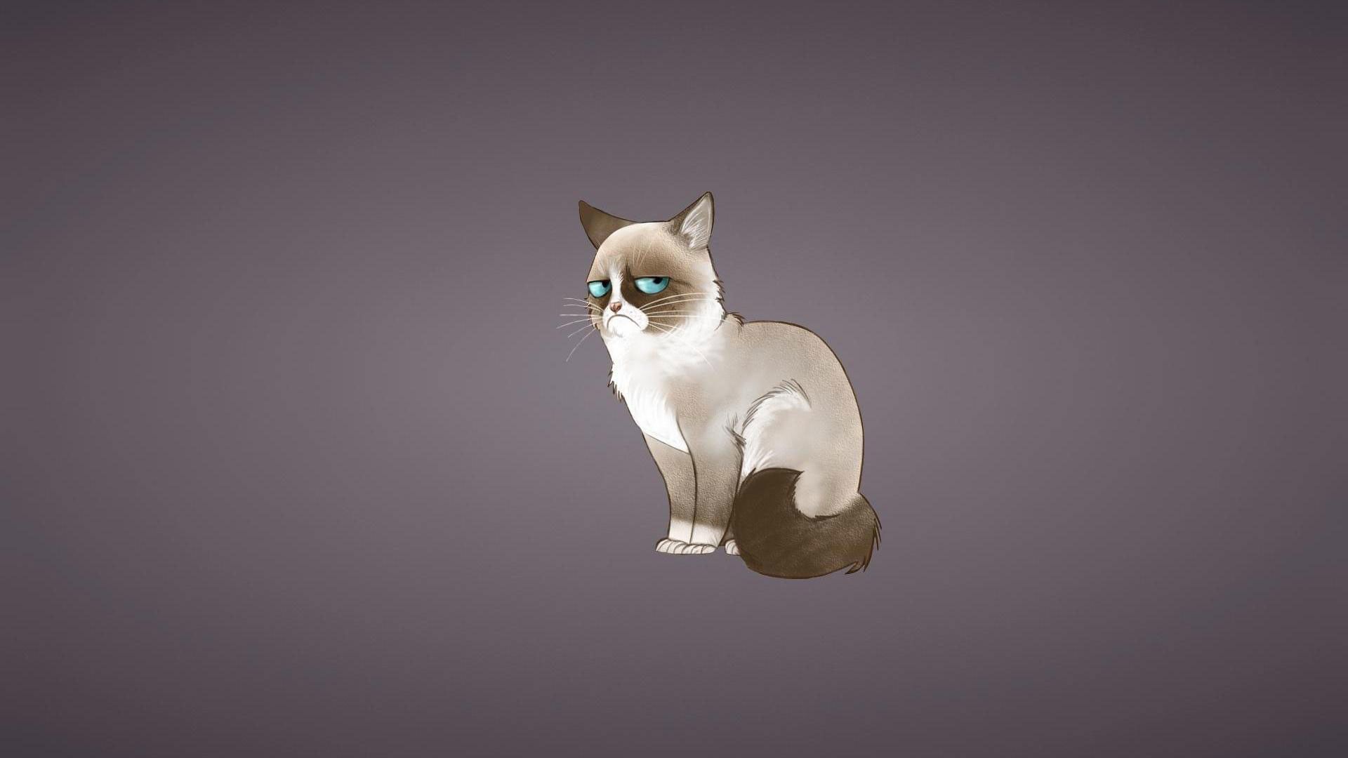 Cute cartoon cat desktop wallpapers