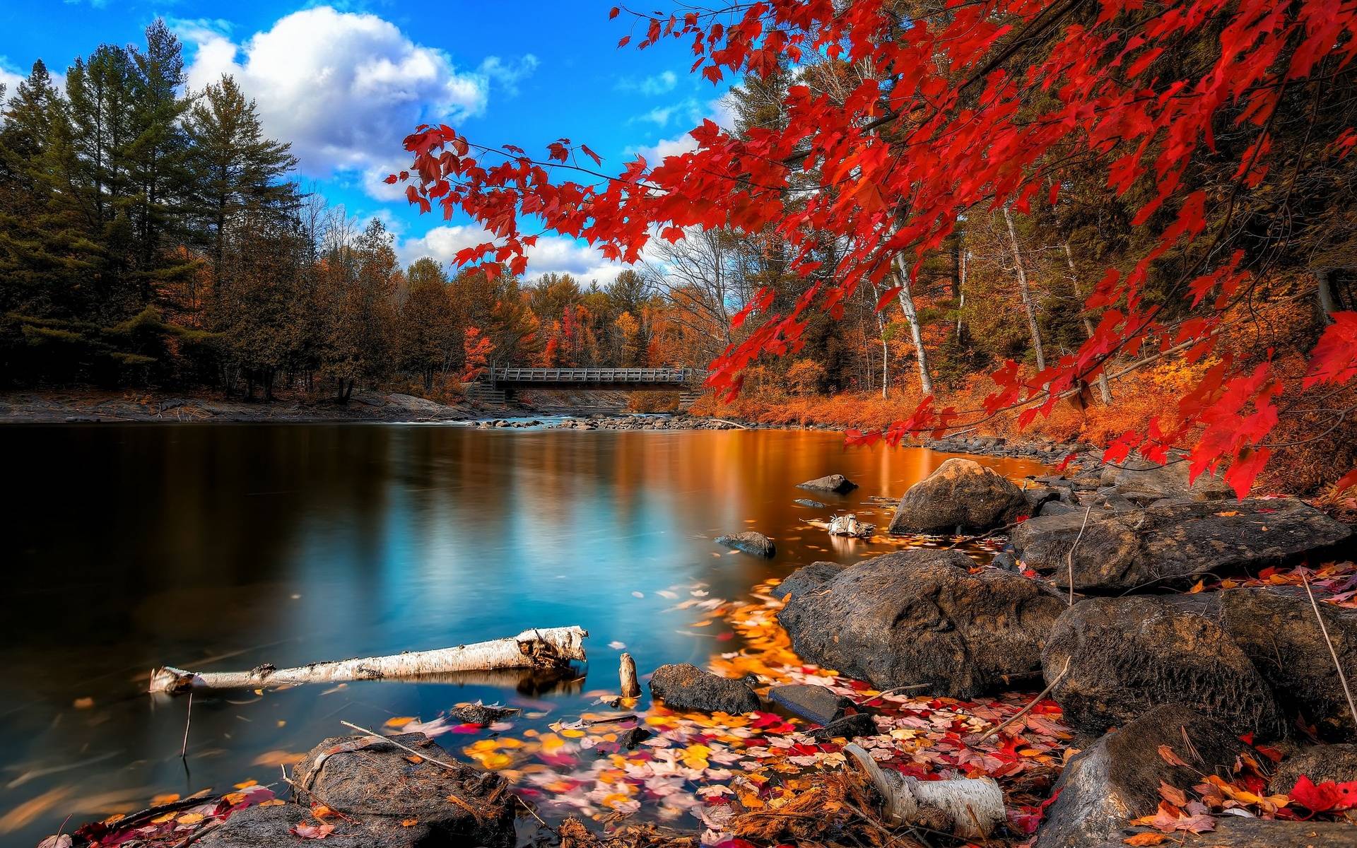 Add a pop of color to your door this fall season. Nature Autumn Wallpapers Wallpaper Cave