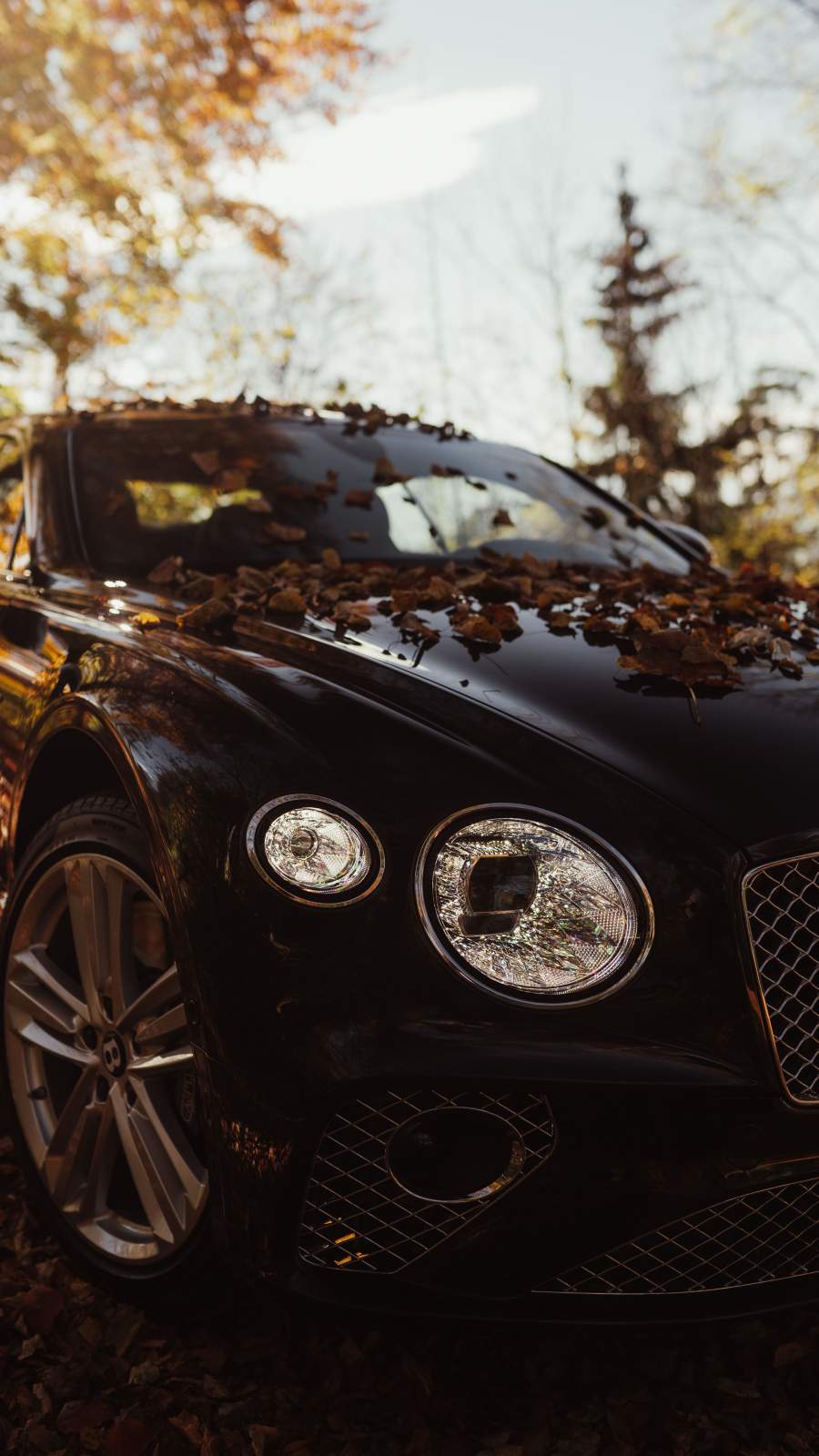Download iphone xs, iphone xs max, iphone xr hd wallpapers bentley continental gt, bentley, car, orange, front view, city, buildings. Bentley Iphone Wallpapers Wallpaper Cave