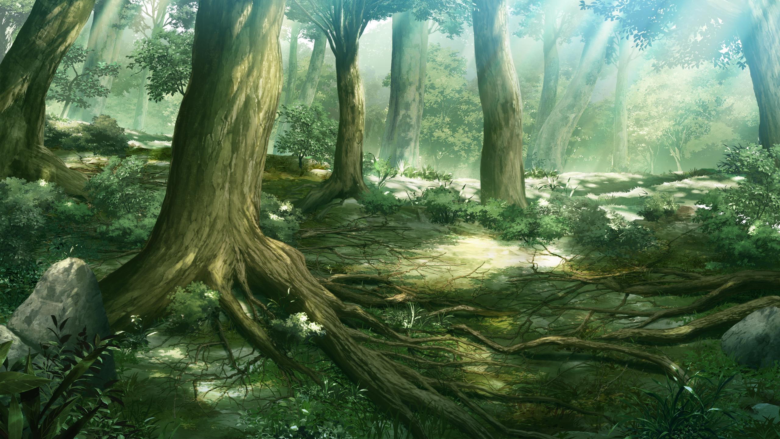 anime forest backgrounds wallpaper cave on animated forest wallpapers