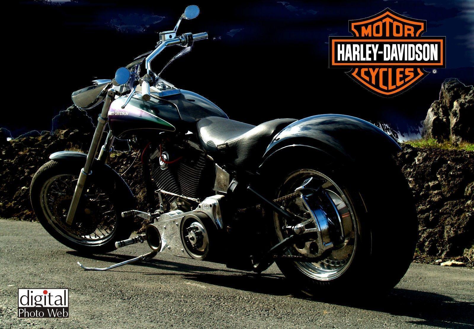 Scarica Gratis immagini Harley Davidson Pc Wallpapers Wallpaper Cave il piu cool saluti