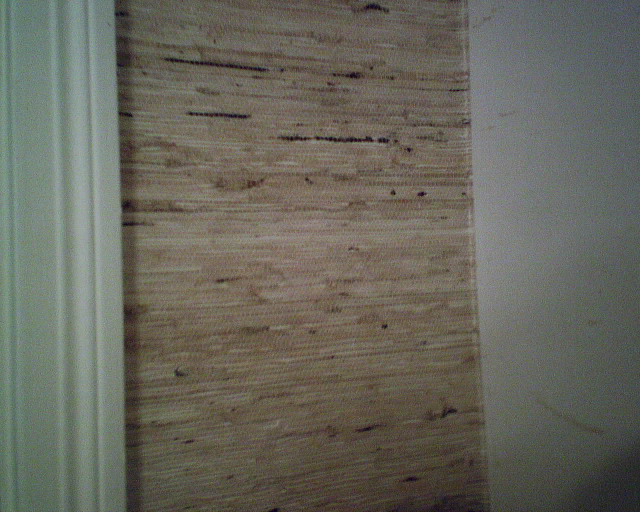 Can You Paint Over Grasscloth Wallpaper Collection