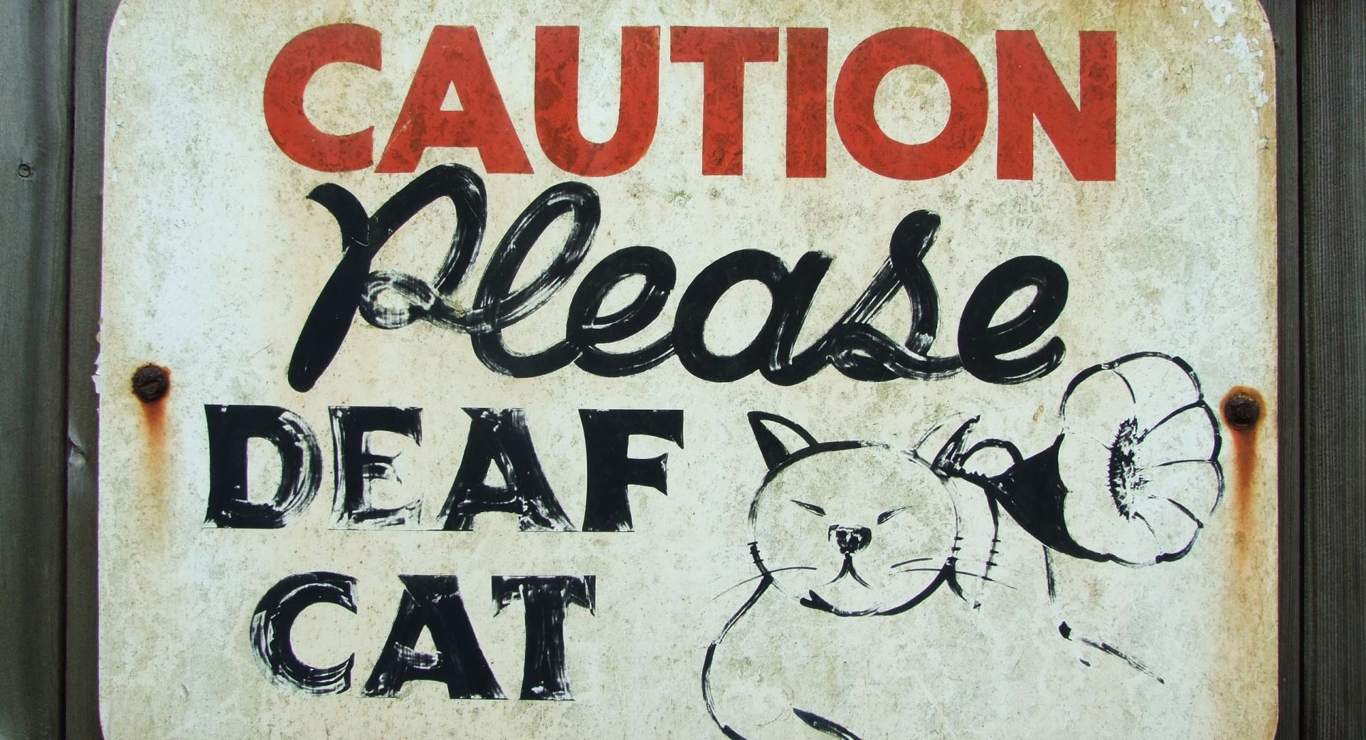 Caution Sign Wallpaper - Warning Do Not Touch This Computer Hd Wallpaper Background Image 1920x1080 -