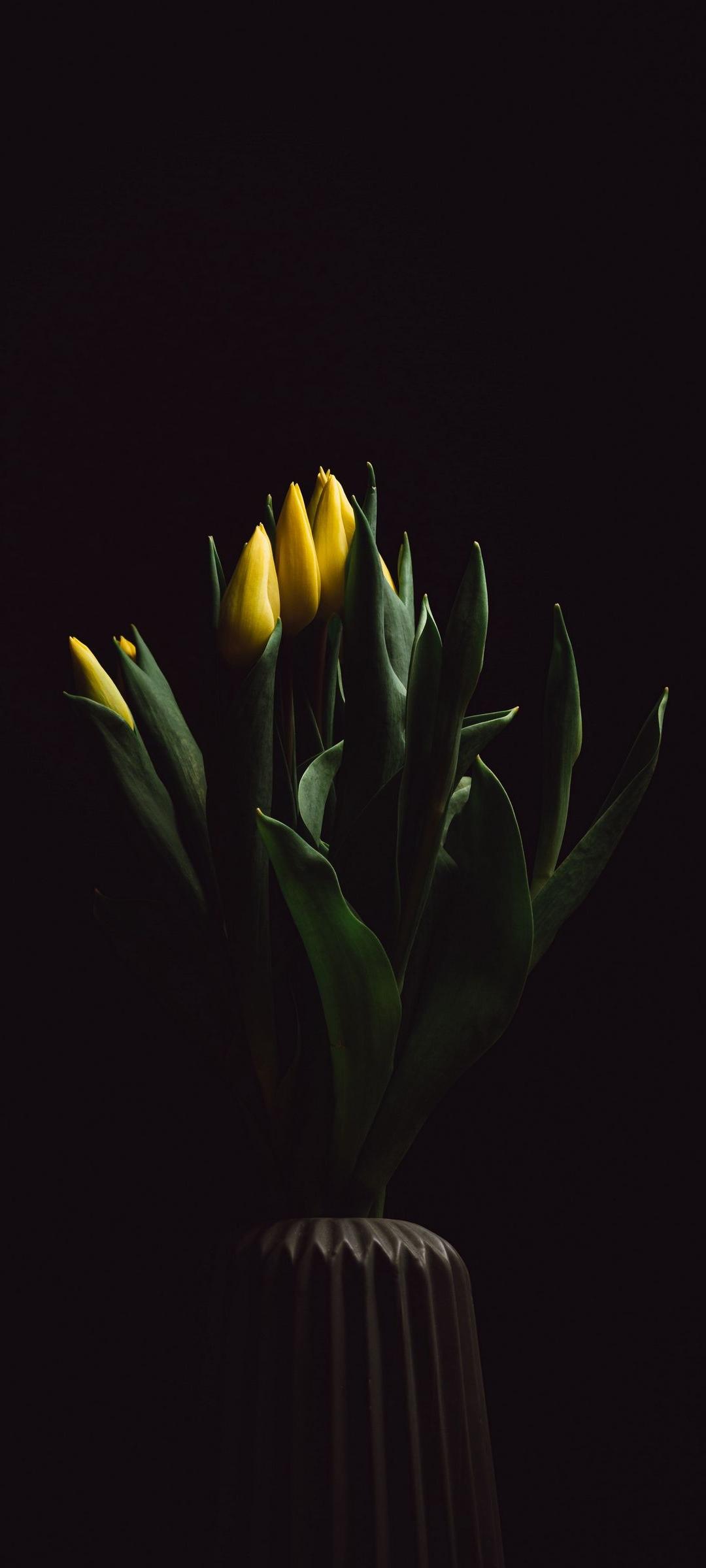 Nothing Phone 2a Wallpapers 