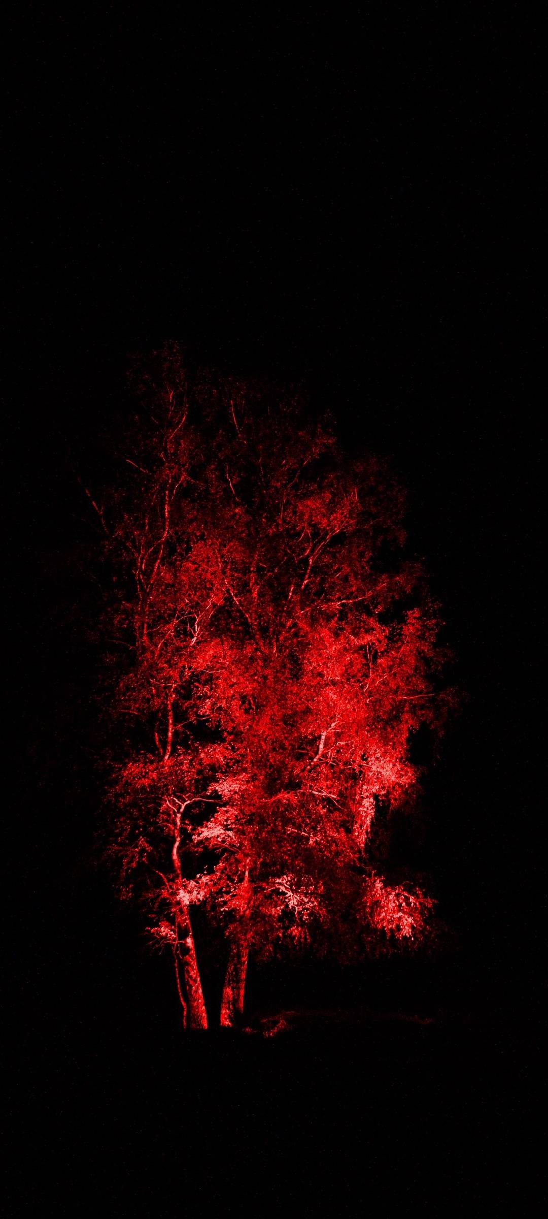 iPhone 16 Wallpapers 