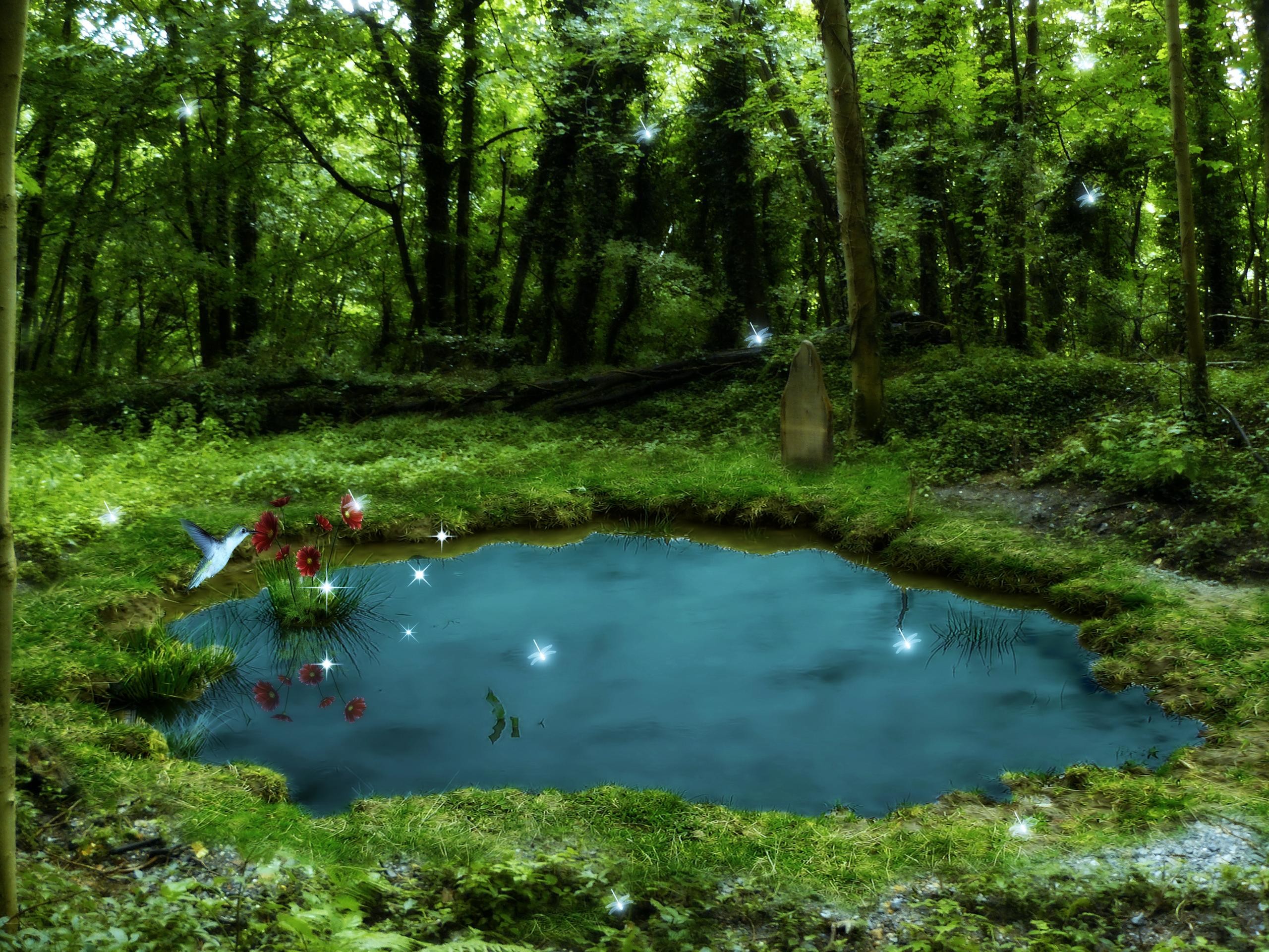 Pond wallpaper (72+ pictures)