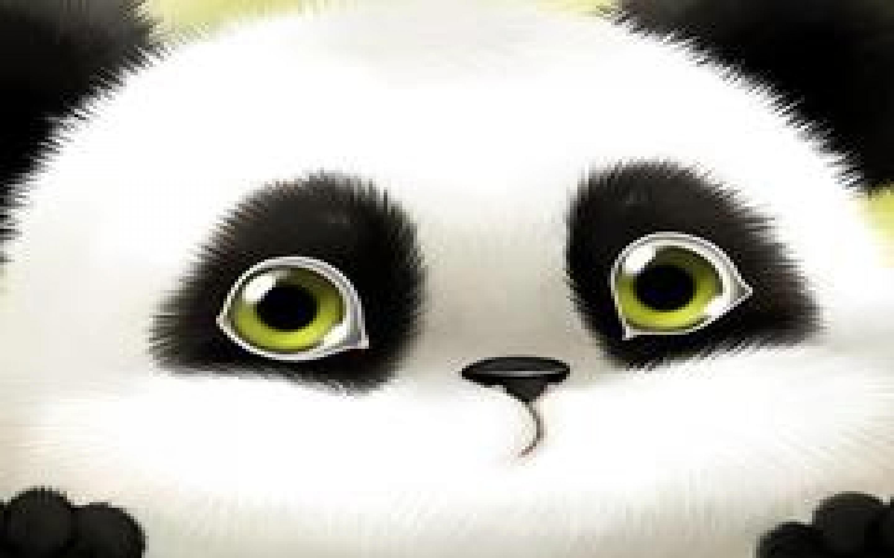 panda cartoon wallpaper (73+ pictures) on cute panda cartoon wallpaper