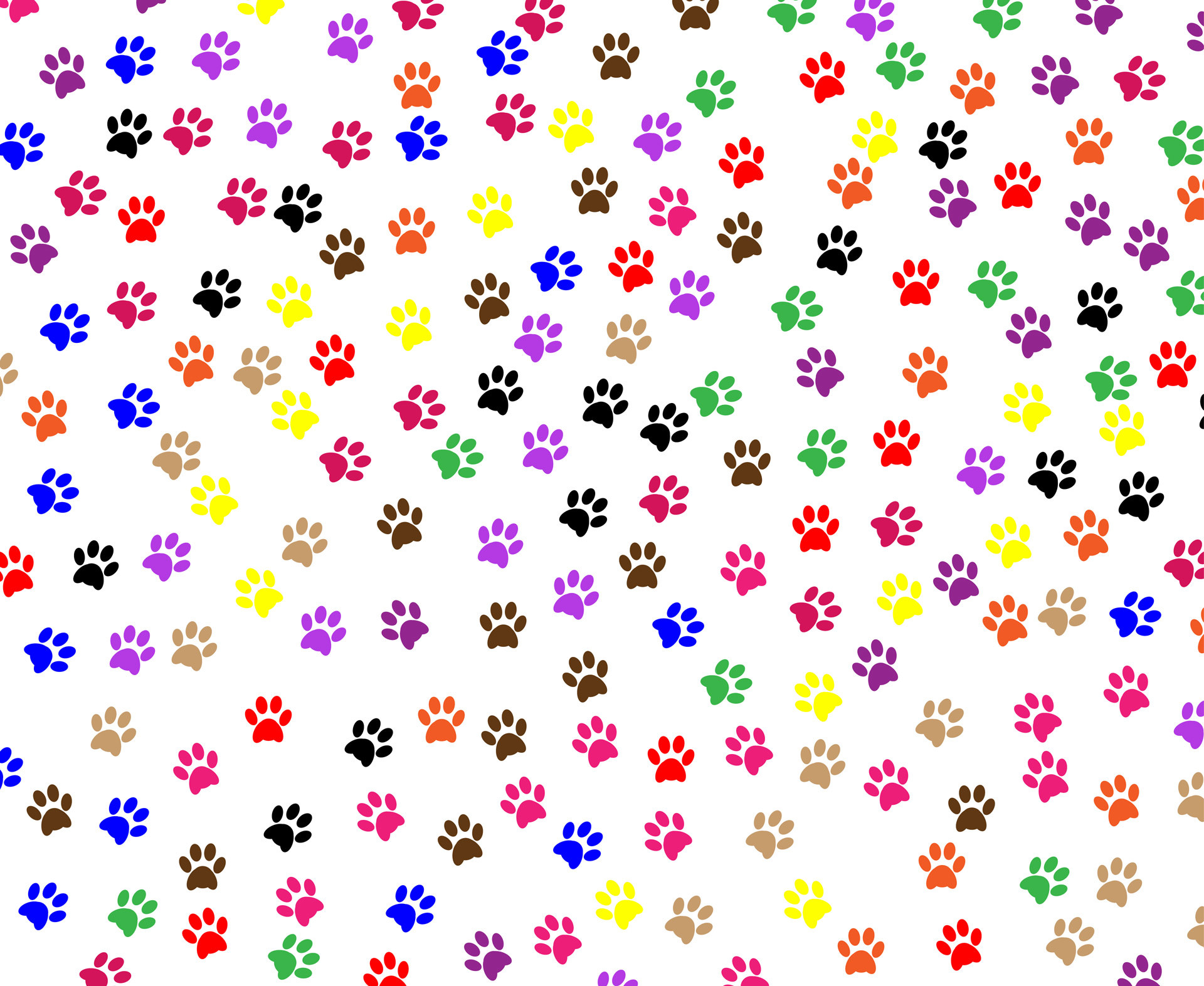 Paw print wallpaper desktop