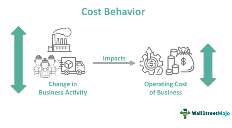 Cost behavior