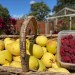 Pears & raspberries