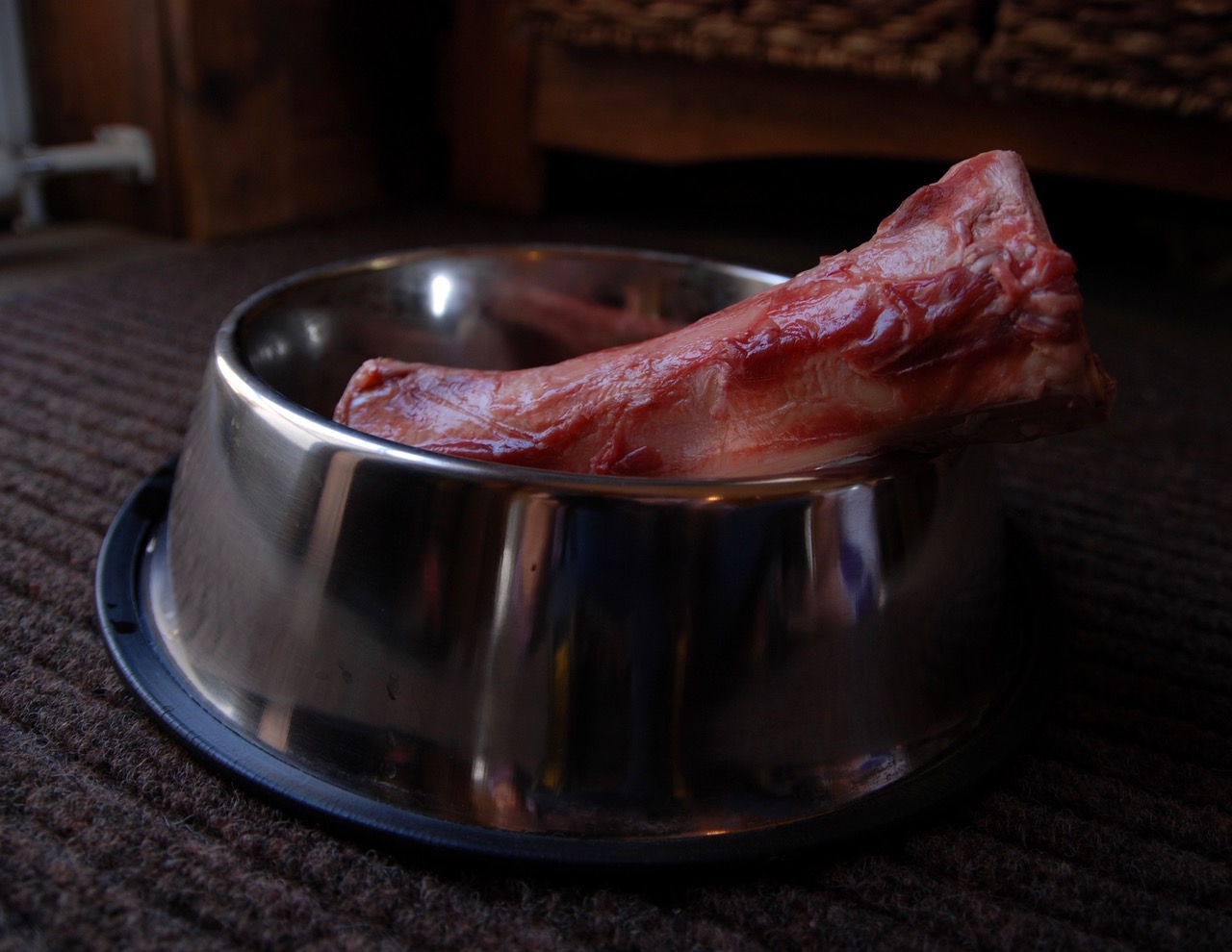 Dog Bones
