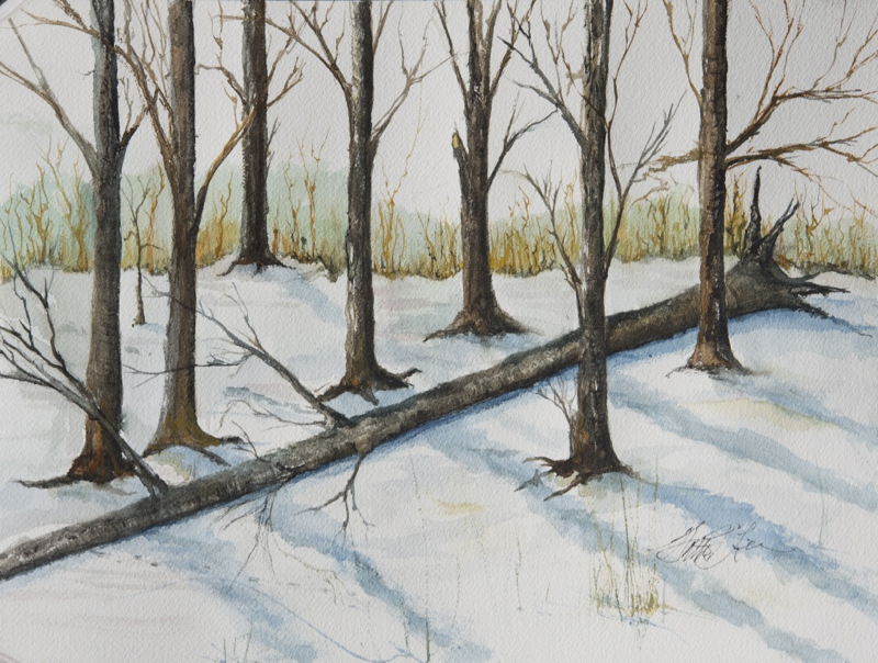 Winter Sky, Available