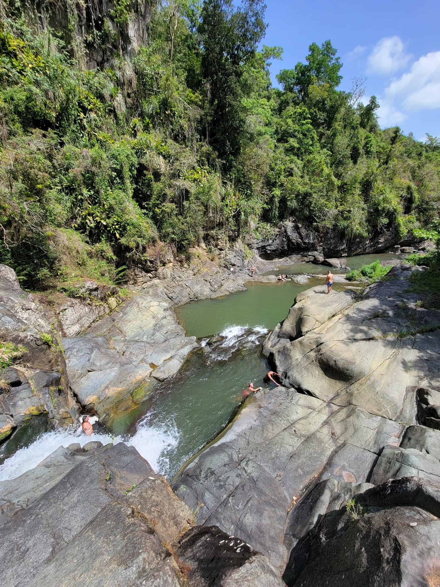 Rainforest River & Waterfall Tour