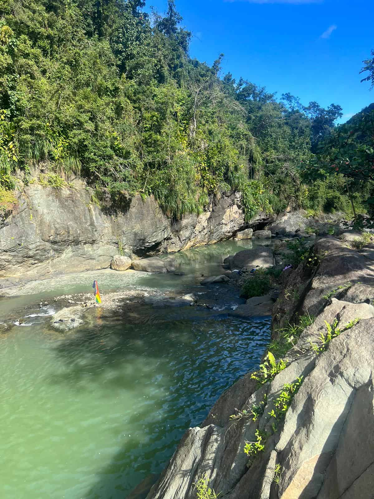 Rainforest Tour