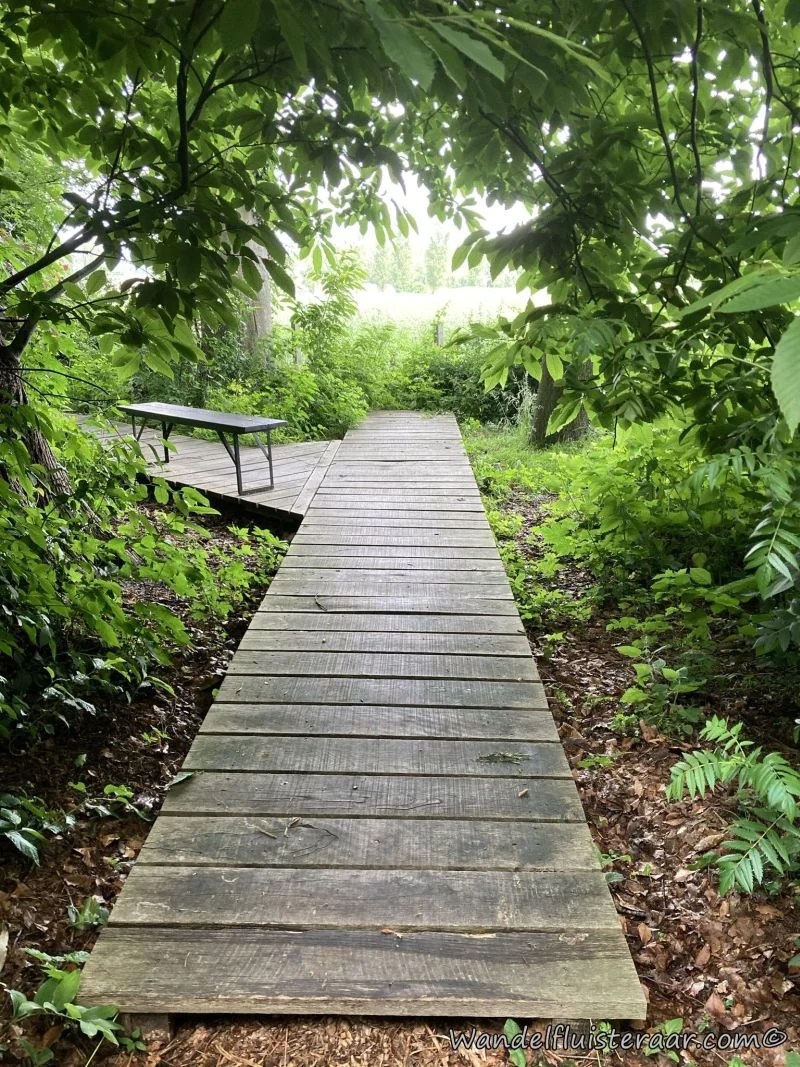 Speelbos Droombergen in Oombergen