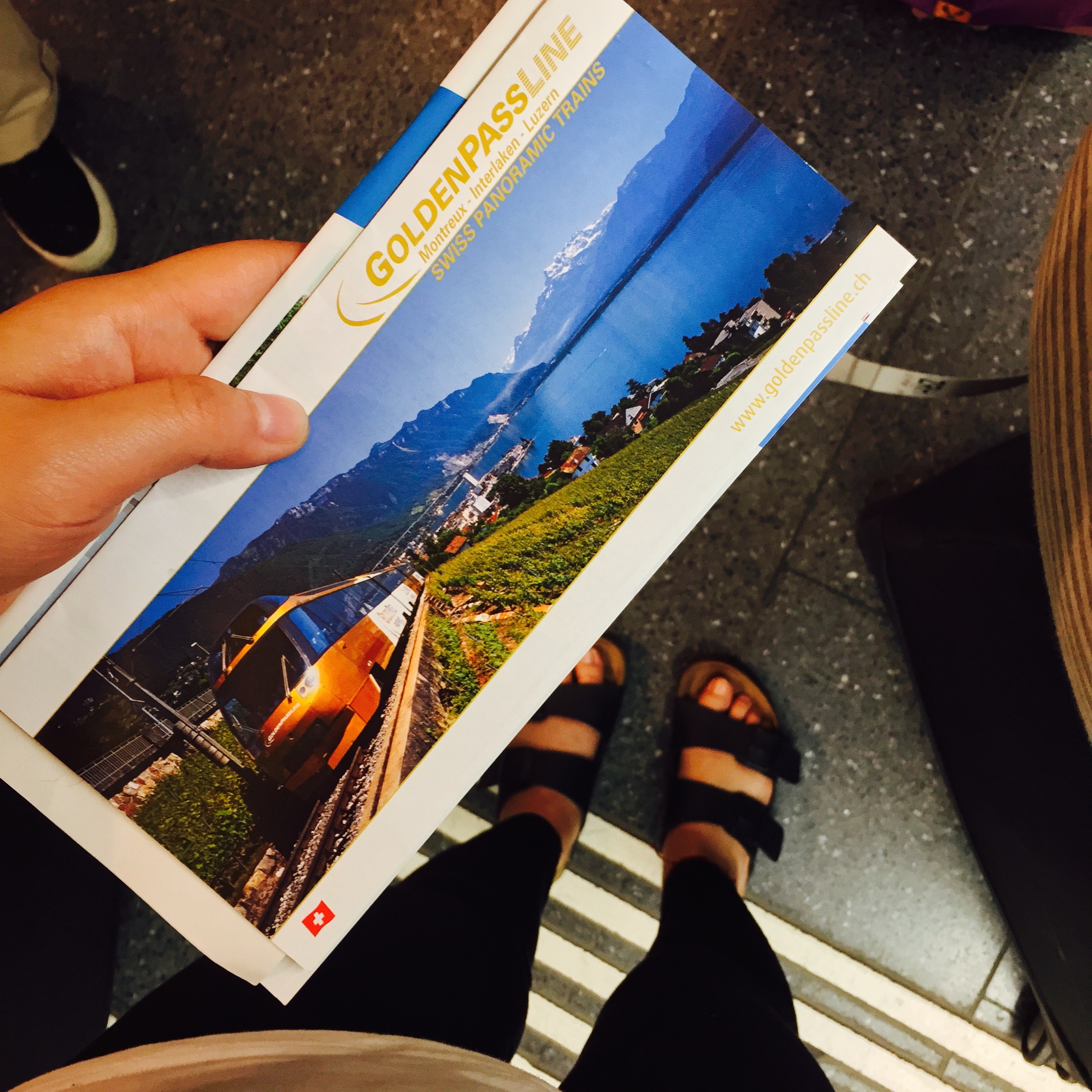 This is the Swiss Pass TICKET