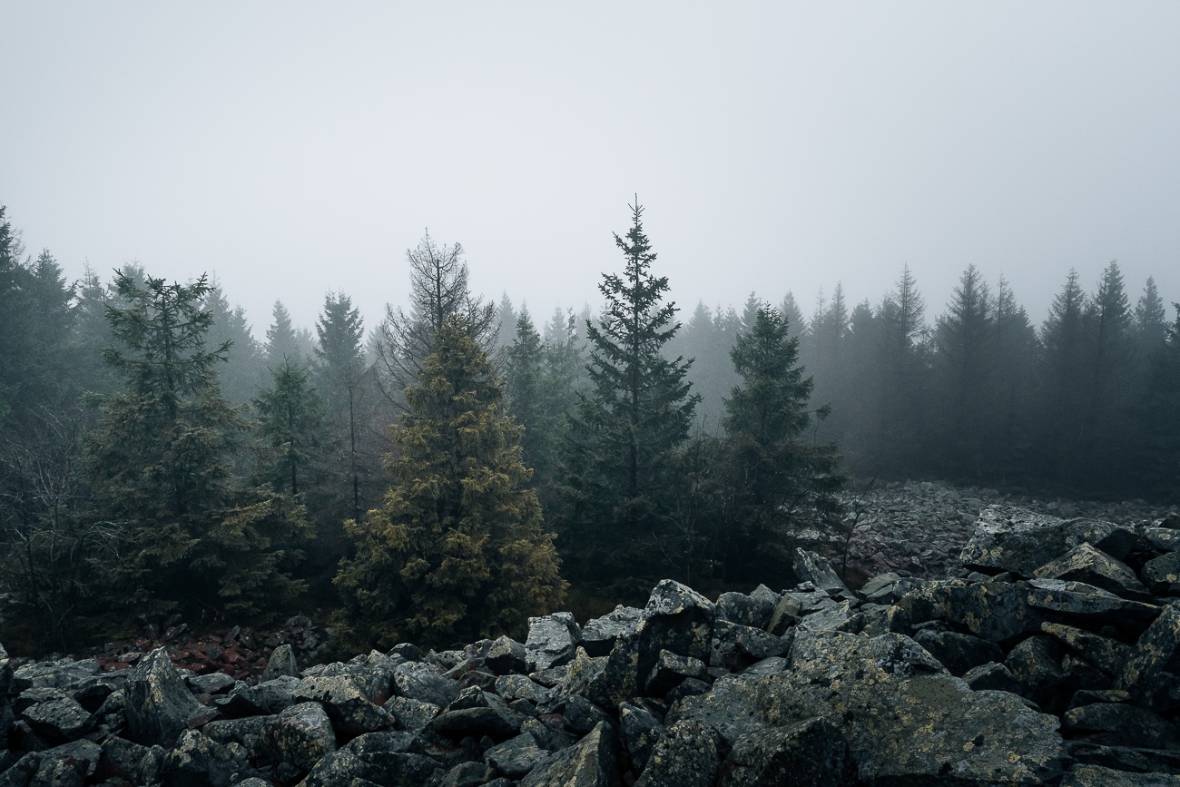 Landschaftsfotografin Harz Wolfswarte zum Oderteich
