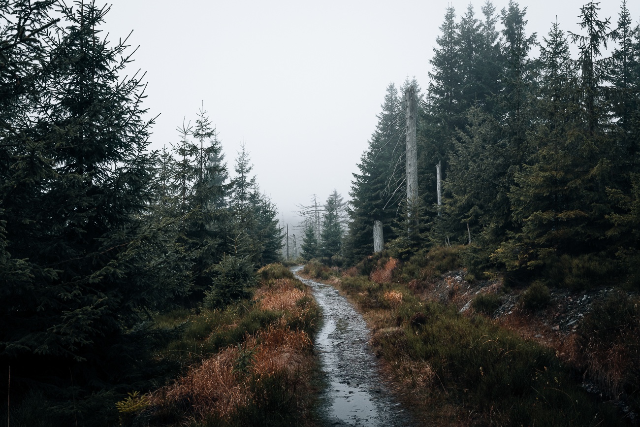 Landschaftsfotografin Harz Wolfswarte zum Oderteich