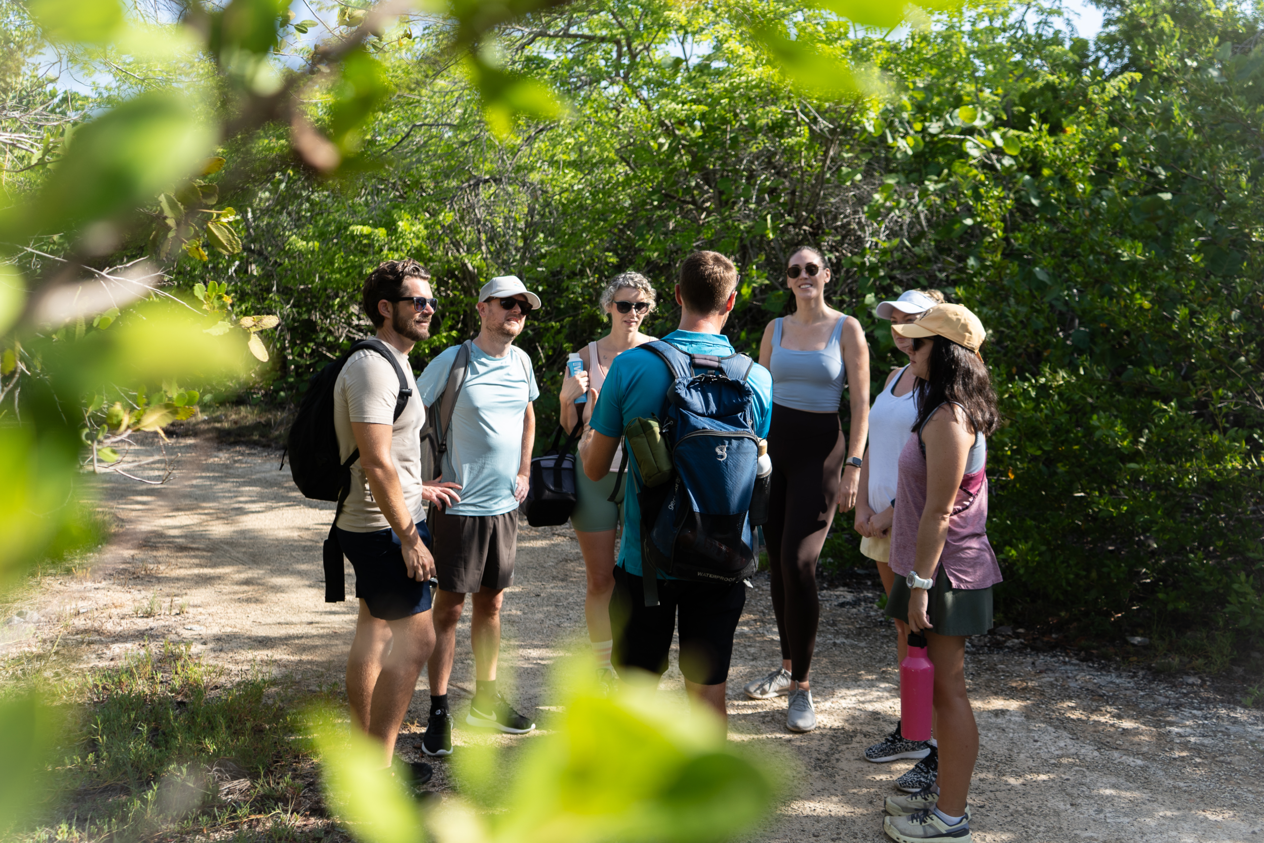 Guide on mangrove trail with hikers in Grand Cayman
