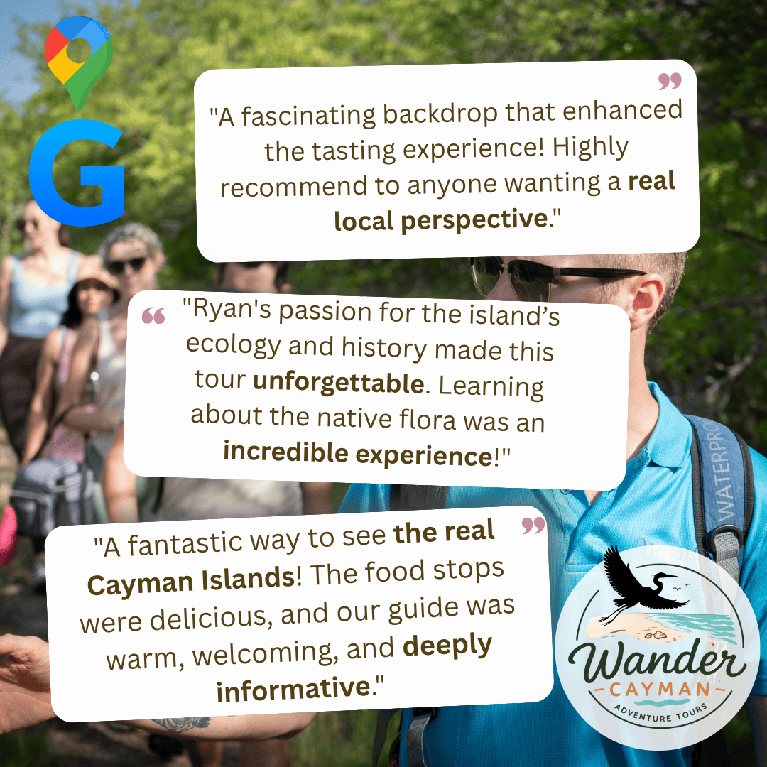 Google Reviews for Wander Cayman