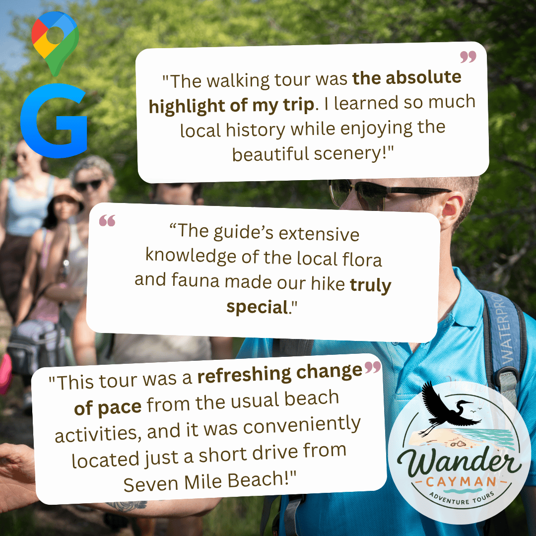 Google Reviews Wander Cayman