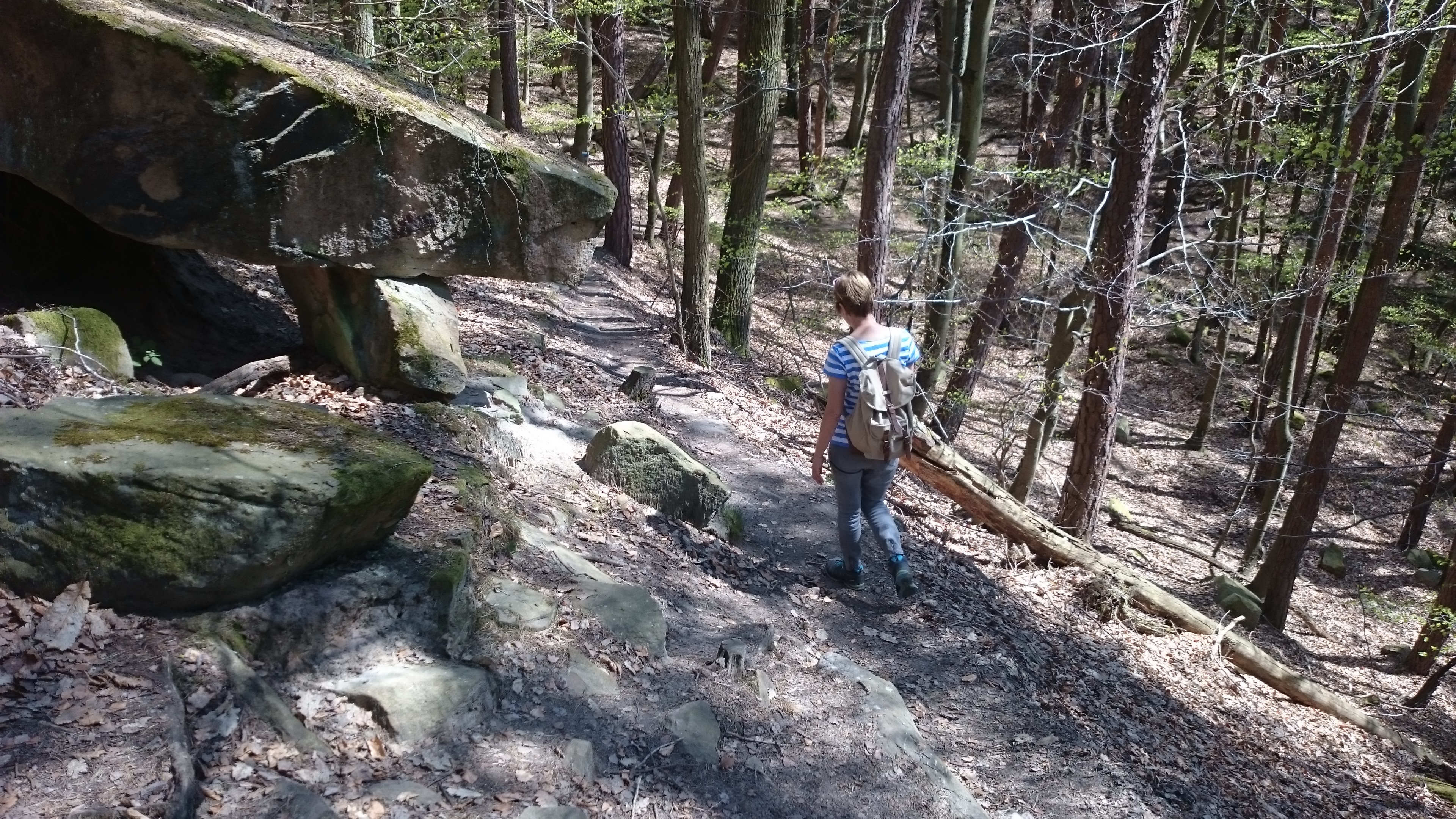 Eselsweg Deidesheim im Pfälzerwald