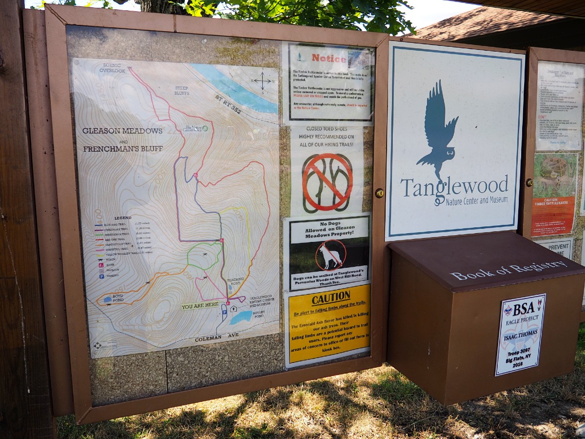 Tanglewood Trails