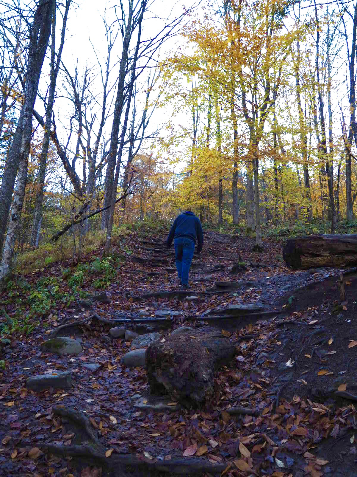 Josh at Pixley Falls