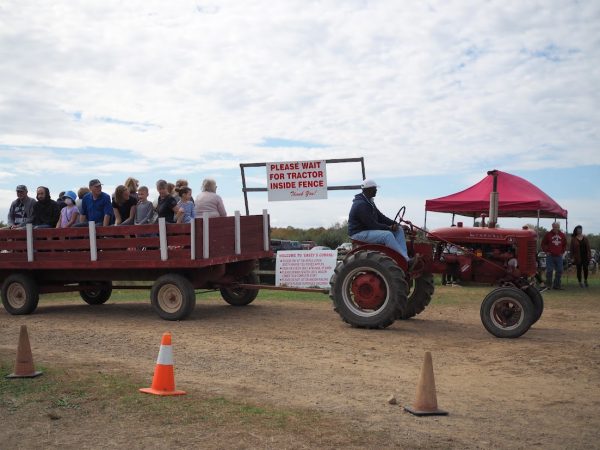 Behlings Tractor