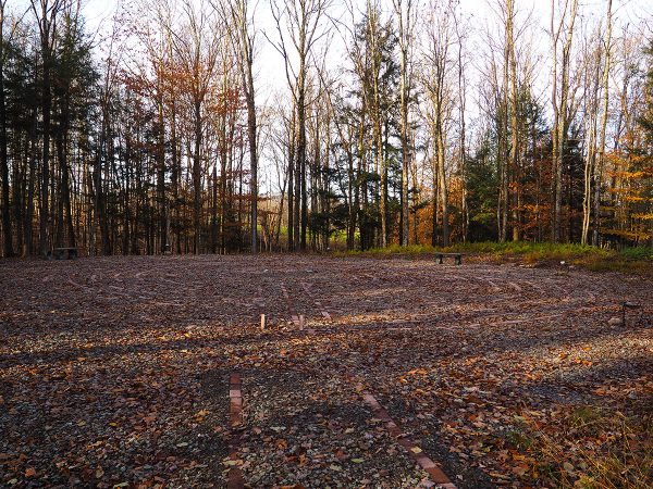 Fiddlehead Grove New Labyrinth