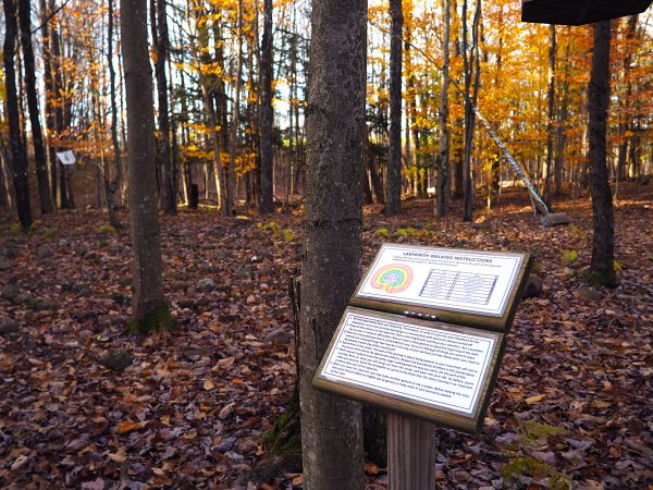 Fiddlehead Grove Old Labyrinth