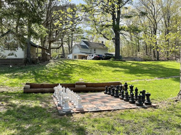 Giant chess