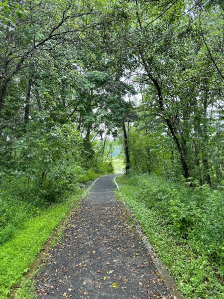 Dear Creek Wildlife Management Area Pathway