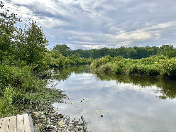 Dear Creek Wildlife Management Area Canoe Launch