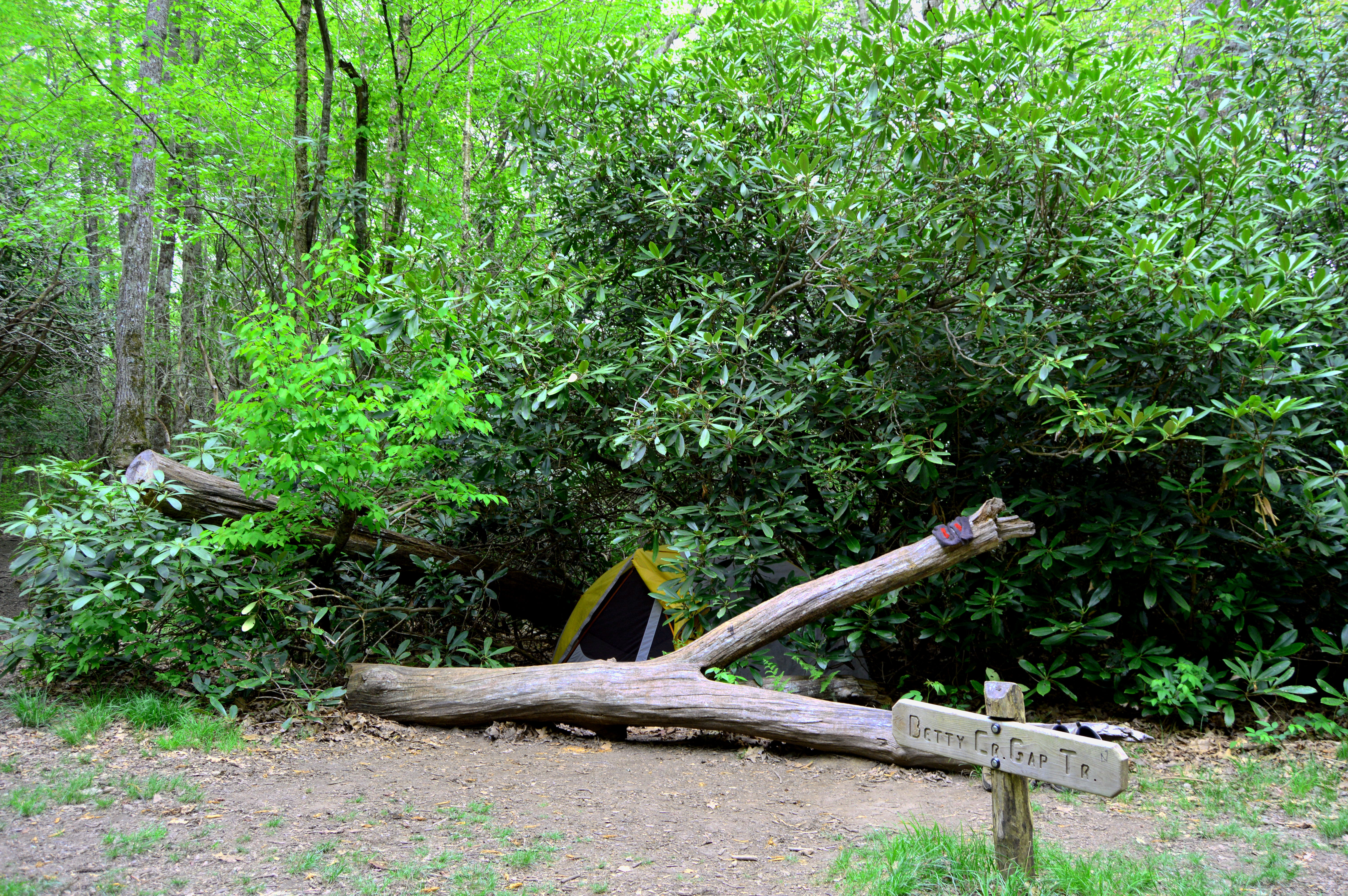 Our camp at Betty Creek Gap