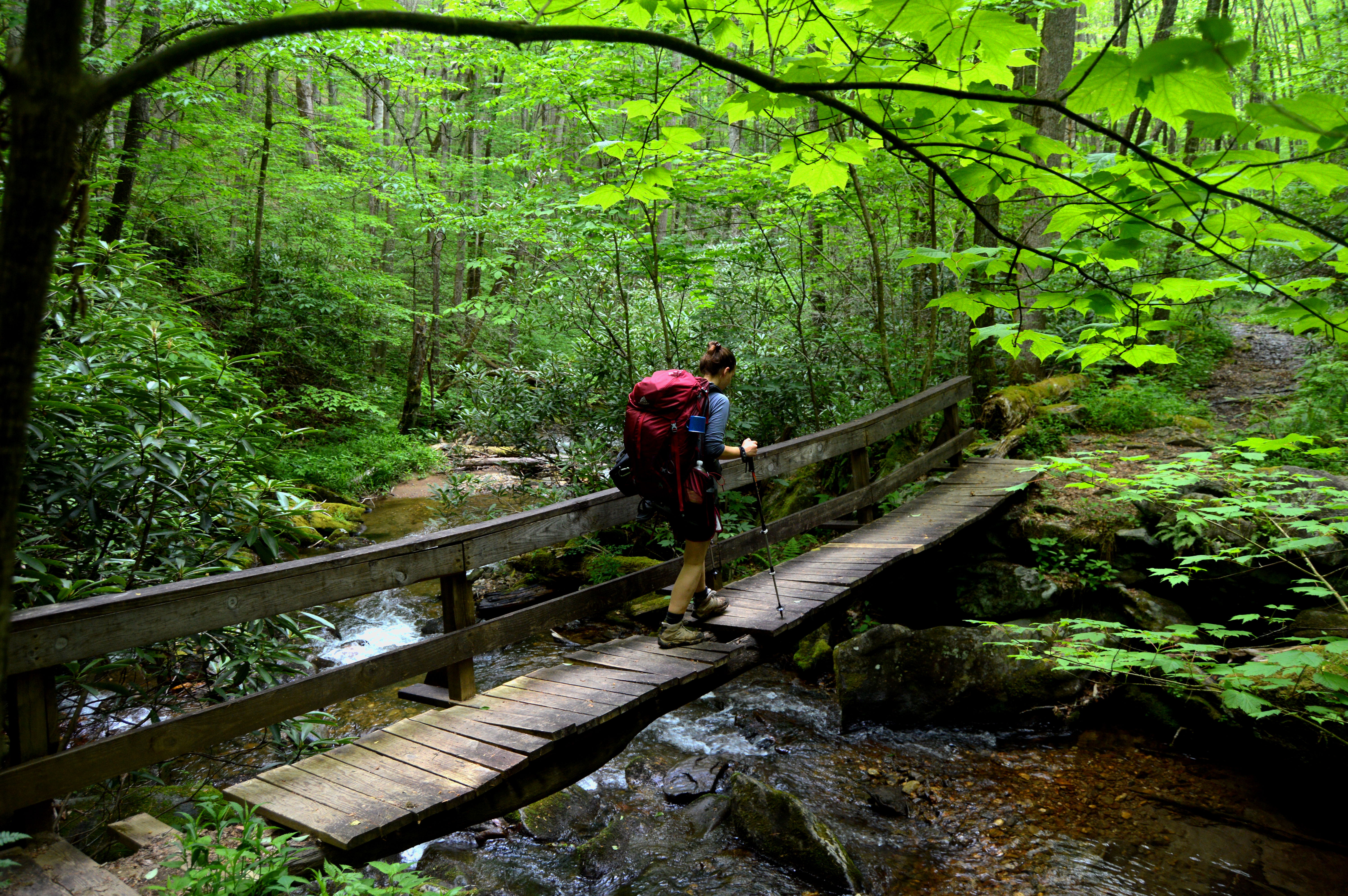 Nadine crossing a bridge on Kimsey Creek trail