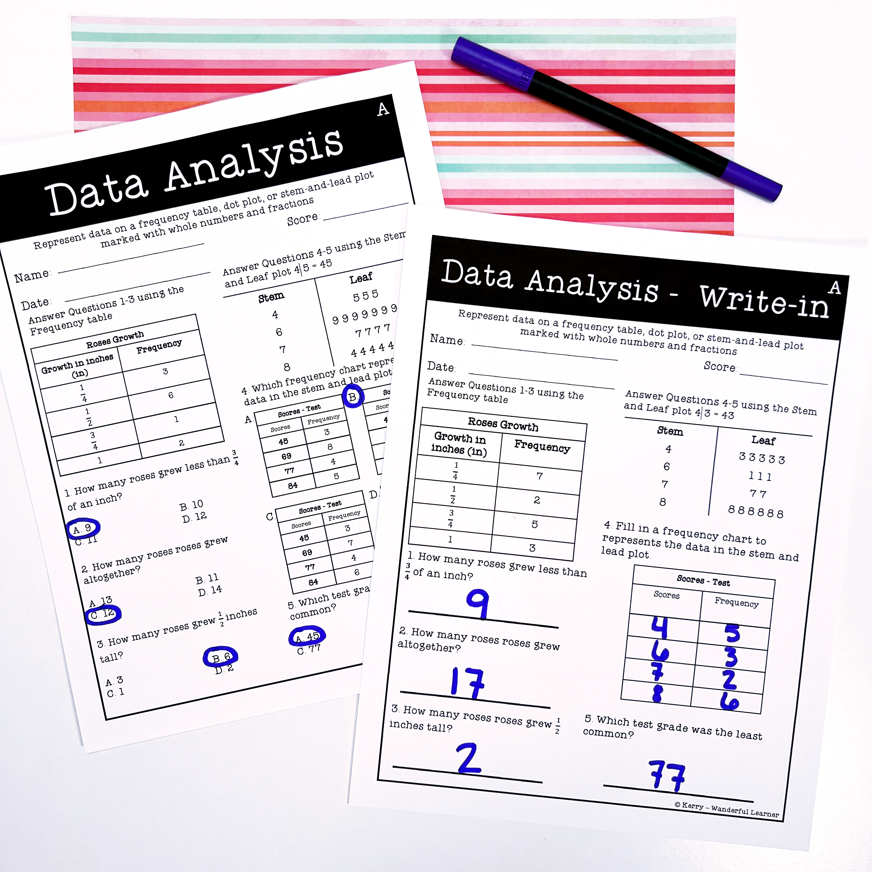 Data Analysis Worksheets one multiple choice and one write in answer choices